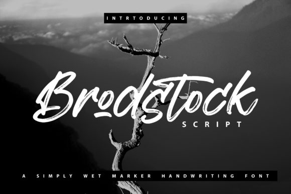 Brodstock Font Review: A Bold Script for Brand Identity