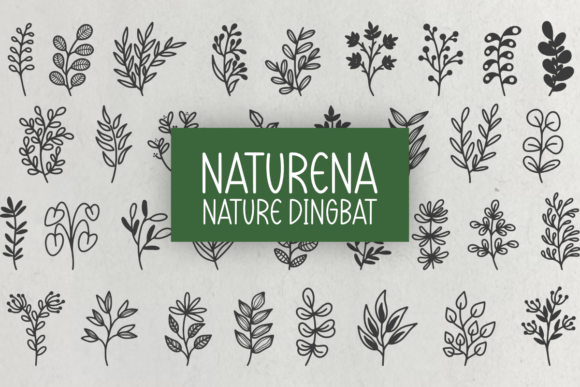 Naturena: The Botanical Font That Elevates Your Brand