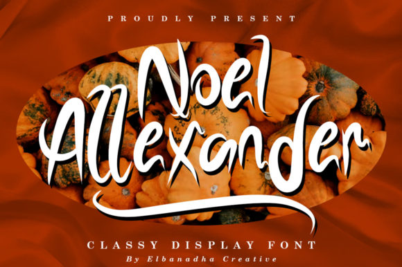 Noel Alexander Font Review for Campaign Designers