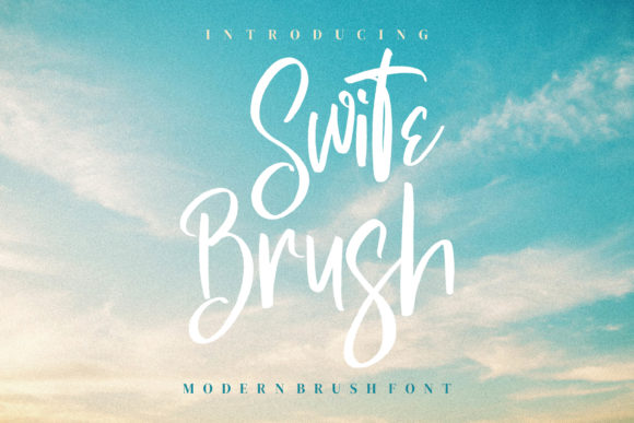 Swite Brush Review: A Designer's Take on Real-World Use